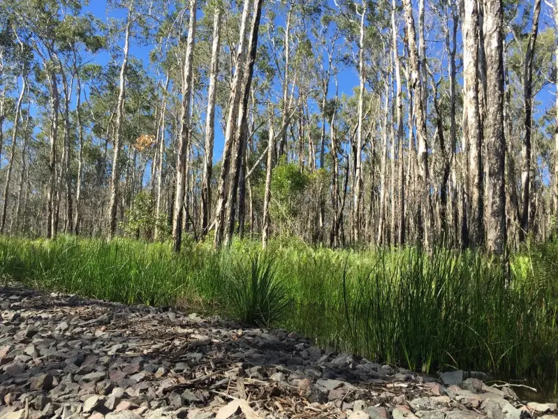 Coolum to Emu Mountain