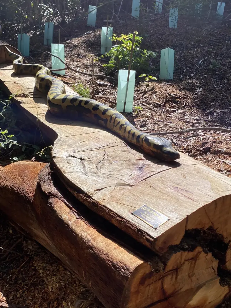 Yaroomba Bushland Park