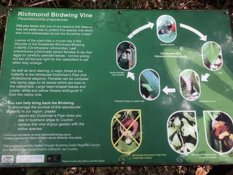 Yaroomba Bushland Park