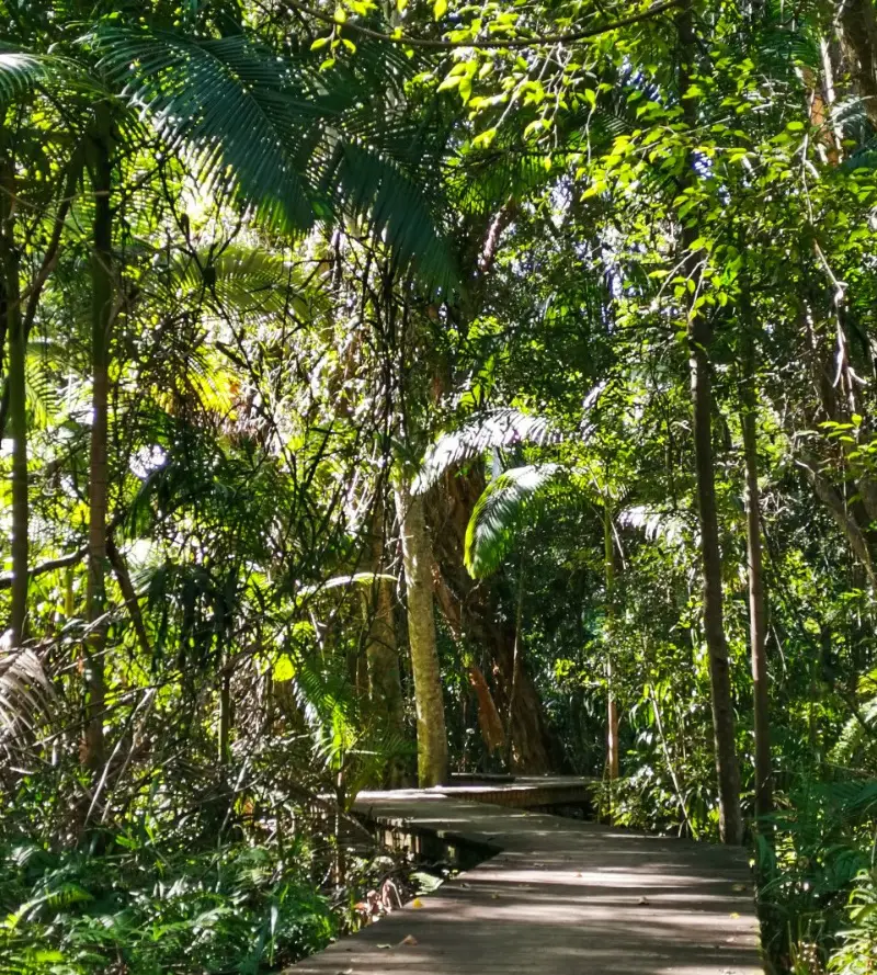 Yaroomba Bushland Park