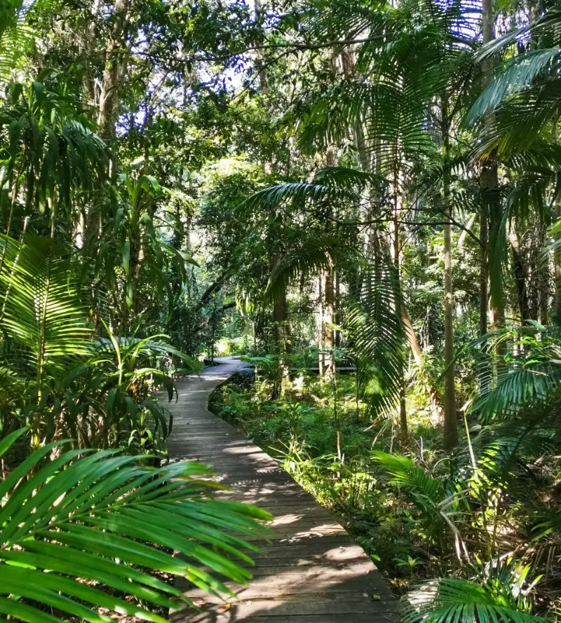 Yaroomba Bushland Park