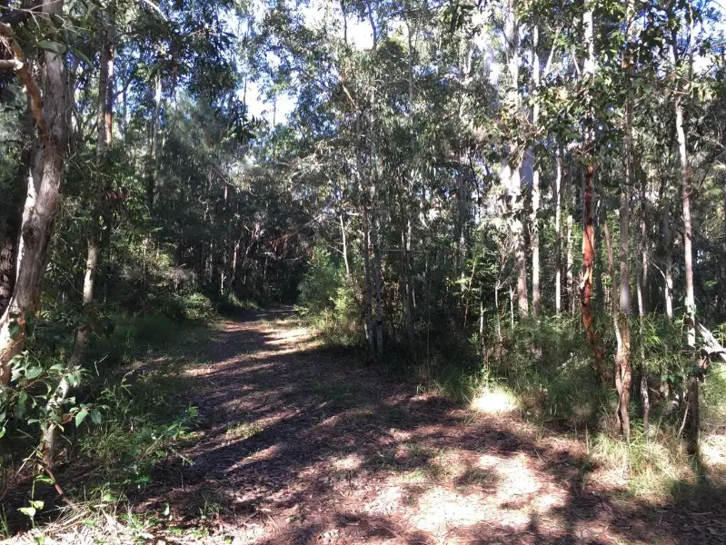 Doonan Creek: North Bushland Loop