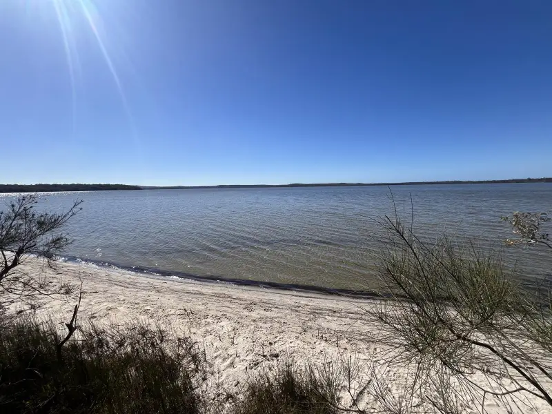 Lake Weyba: Foreshore Walk