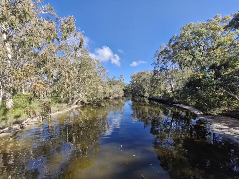Lake Weyba: Foreshore Walk