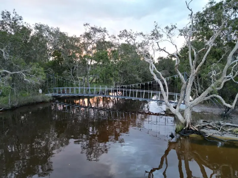 Lake Weyba: Foreshore Walk