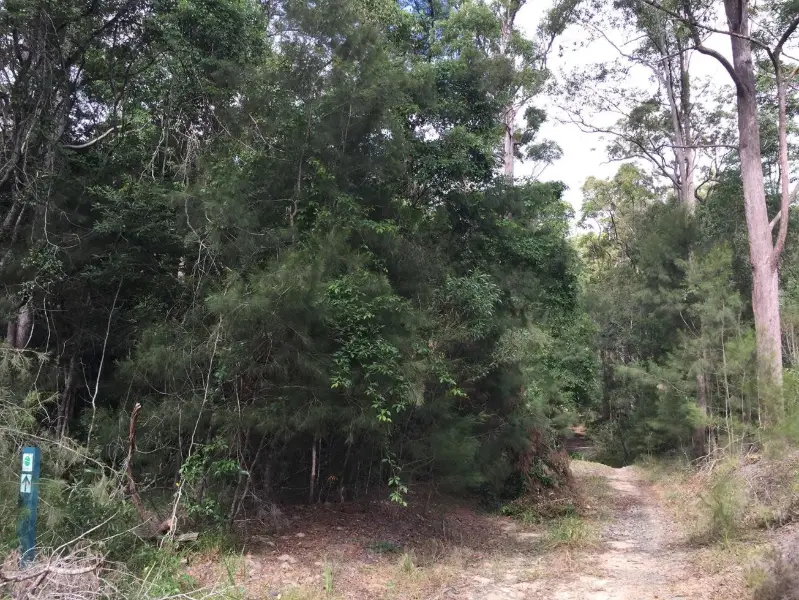 Tewantin National Park: Mt Tinbeerwah Eastern Waterfall