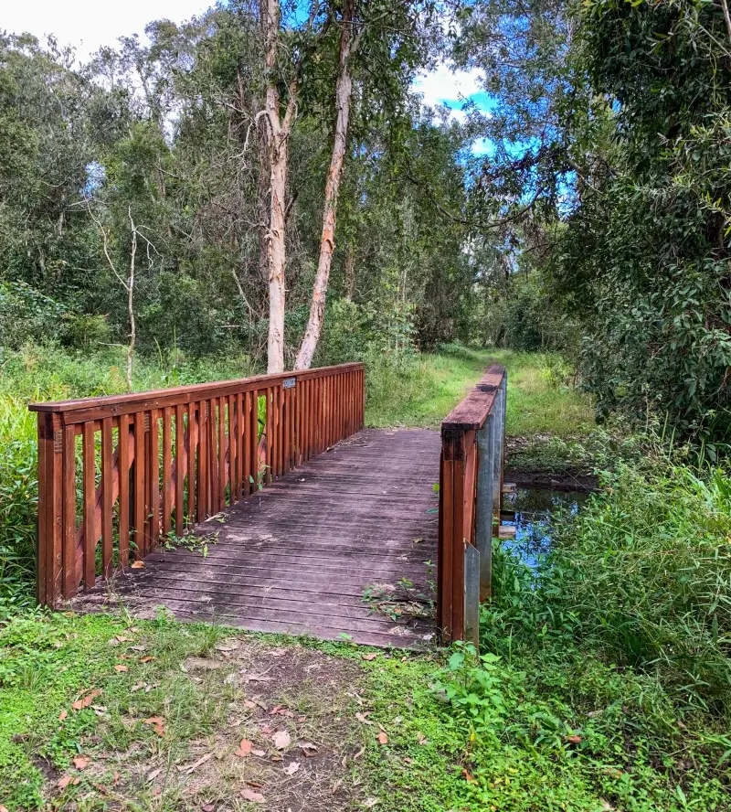 Kawana Forest: Nature Walk