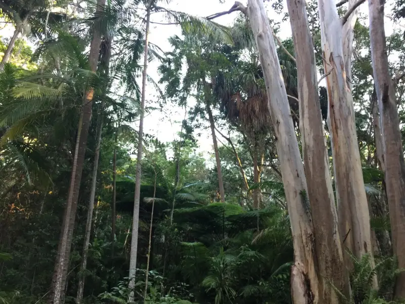 EJ Foote Sanctuary: Cascade Circuit & Loop