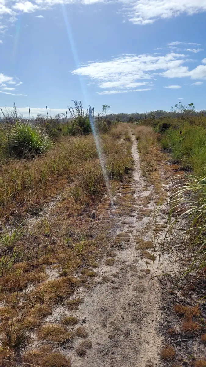 Mooloolah River National Park: Mooloolah River Section