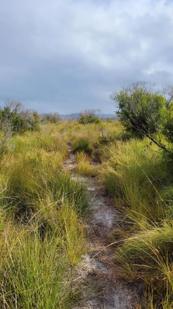 Mooloolah River National Park: Mooloolah River Section