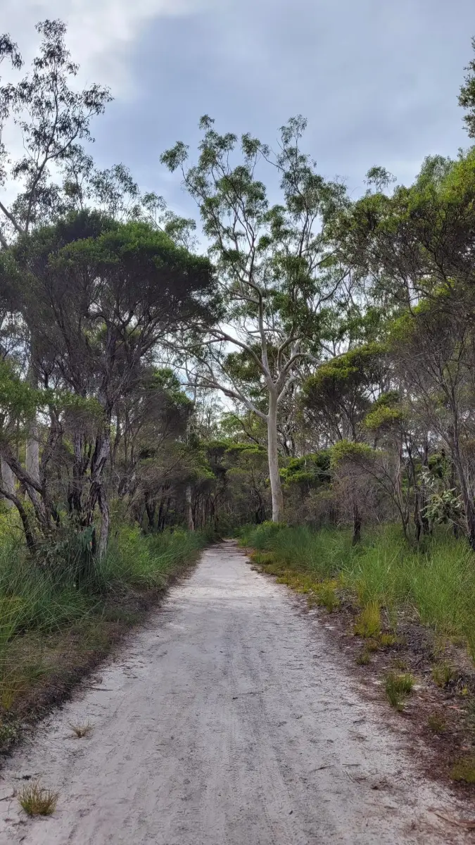 Mooloolah River National Park: Mooloolah River Section