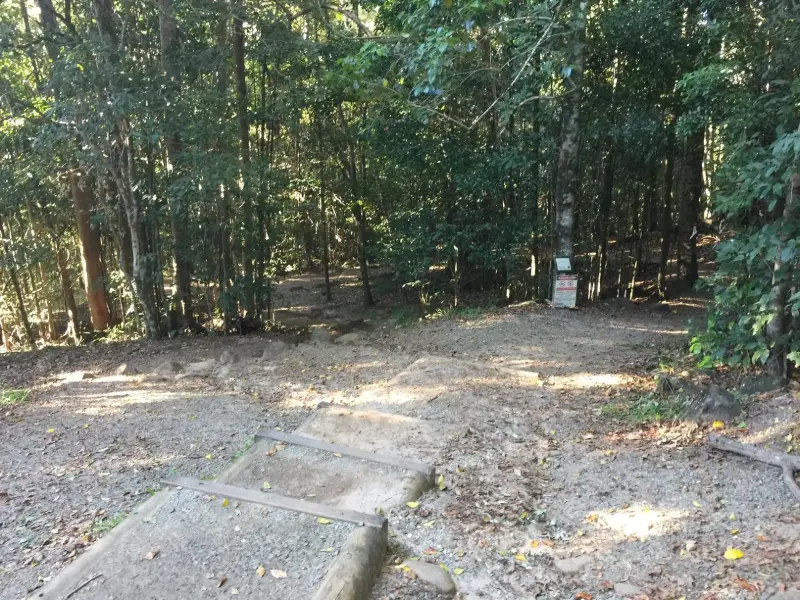 Buderim Forest Park: Falls Loop