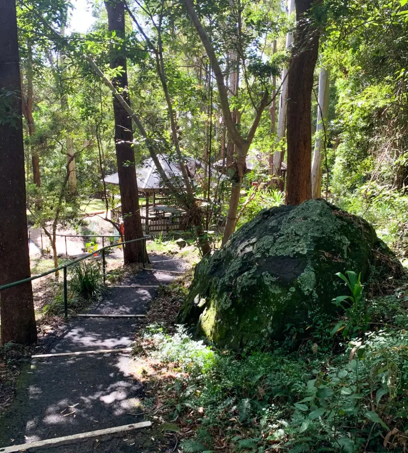 EJ Foote Sanctuary: Botanic Garden Loop