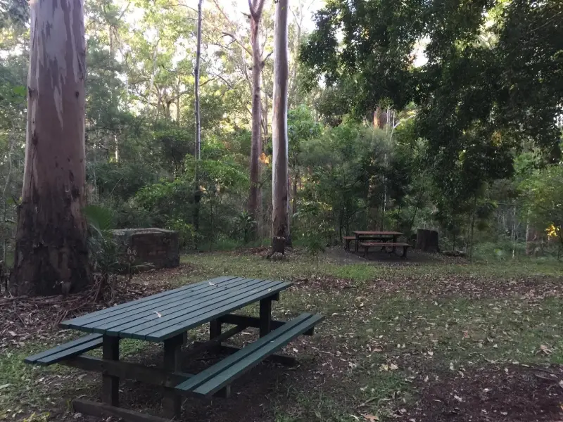 EJ Foote Sanctuary: Botanic Garden Loop