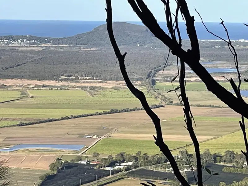 Ninderry Bushland Conservation Reserve: Mount Ninderry Summit Walk