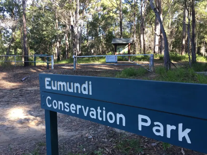 Eumundi Conservation Park: Seib Road Loop