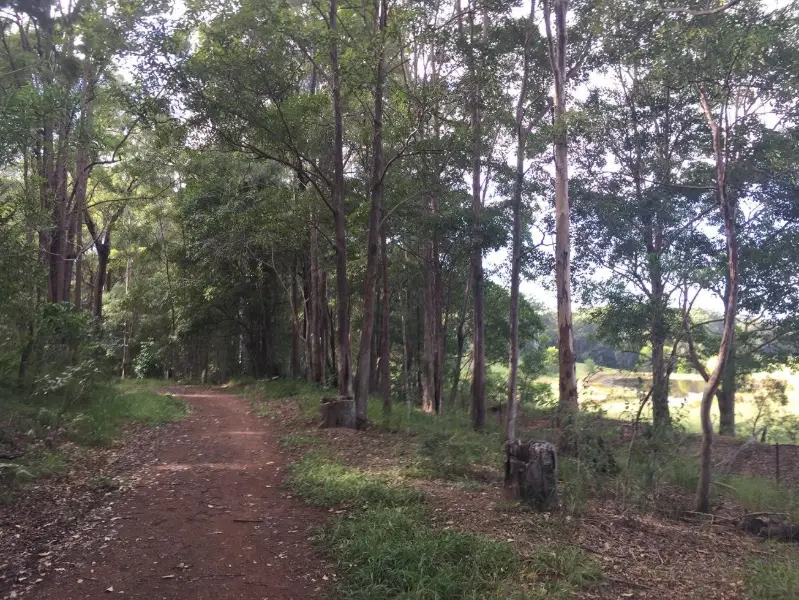 Eumundi Conservation Park: Seib Road Loop