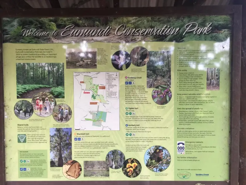 Eumundi Conservation Park: Seib Road Loop