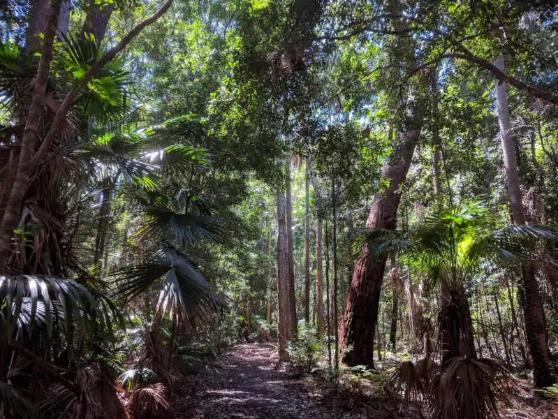 Ben Bennett Bushland Park