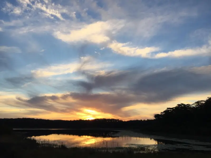 Cooloolabin Dam: Day Use Short Walk