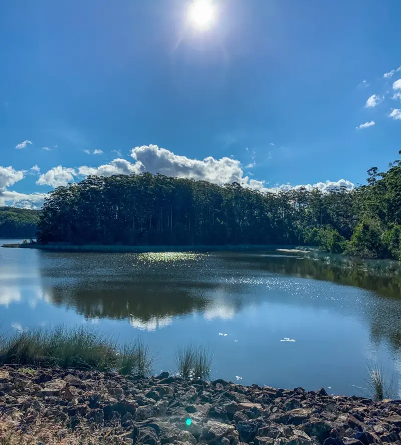 Cooloolabin Dam: Day Use Short Walk