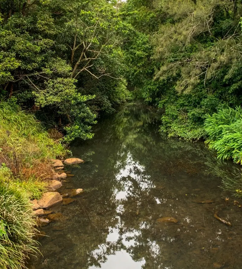 Maleny Boardwalk: Tesch Park