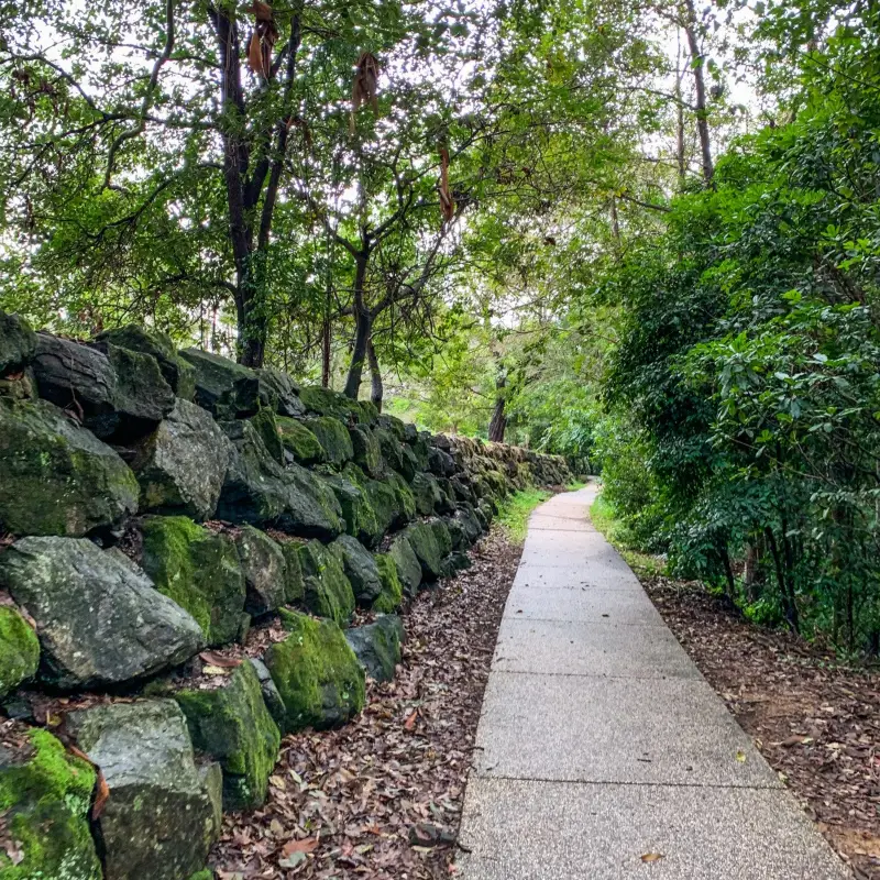 Maleny Boardwalk: Tesch Park