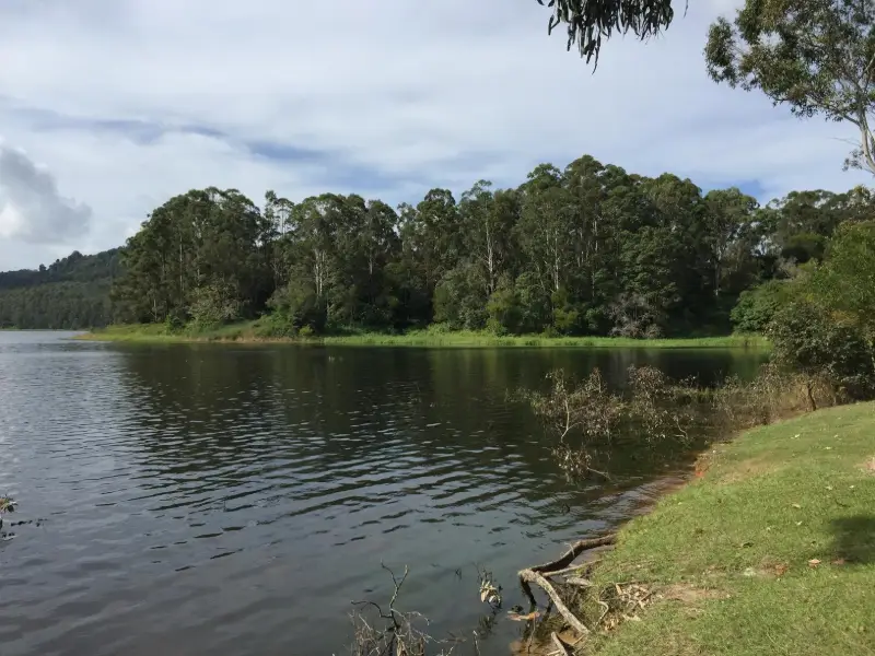 Baroon Pocket Dam: Martin Williams Walk