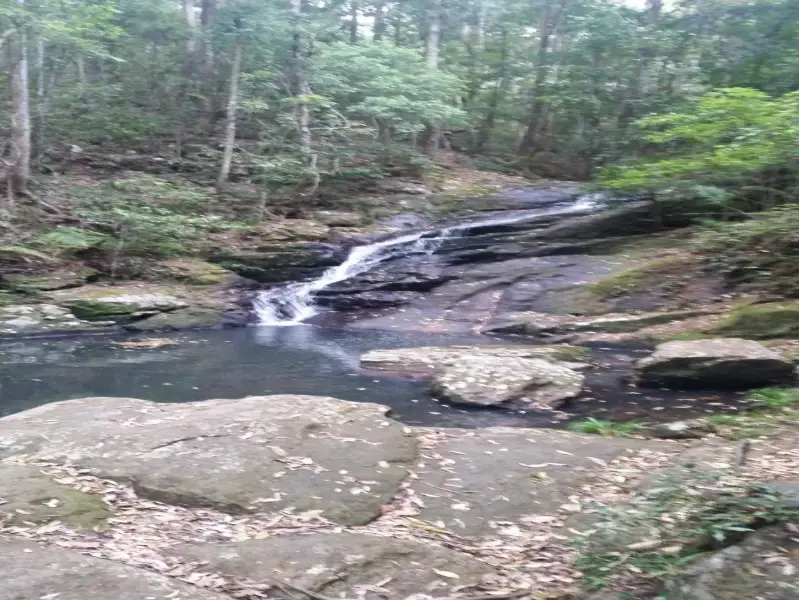 Kondalilla National Park: Kondalilla Rock Pools