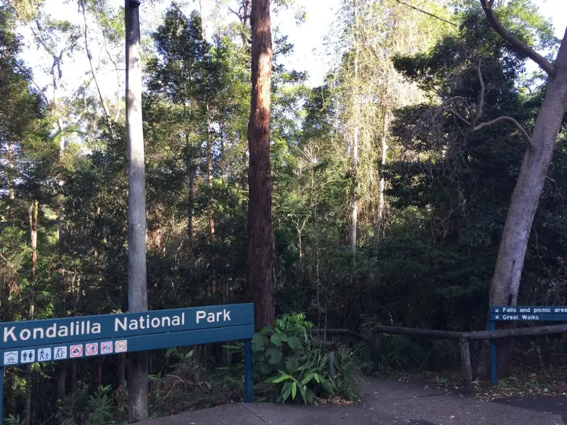 Kondalilla National Park: Kondalilla Rock Pools