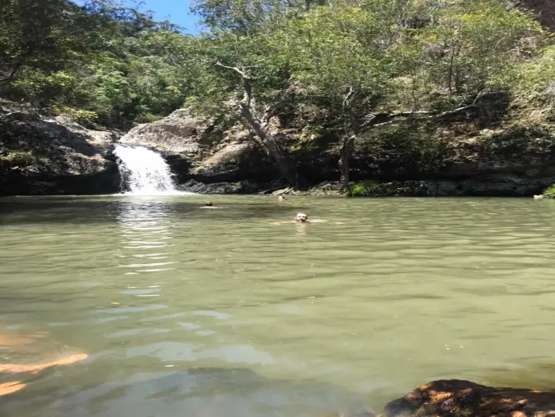 Kondalilla National Park: Kondalilla Rock Pools