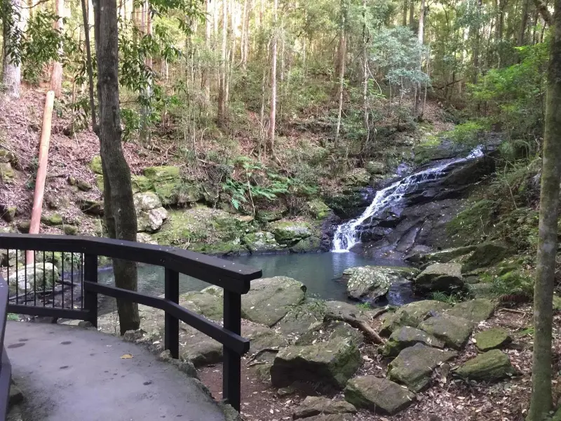 Kondalilla National Park: Kondalilla Rock Pools