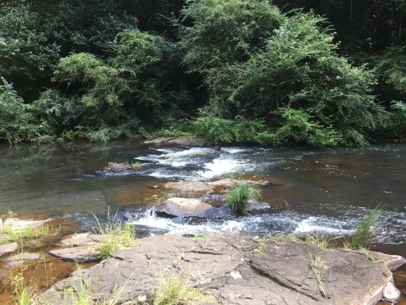 Gardners Falls