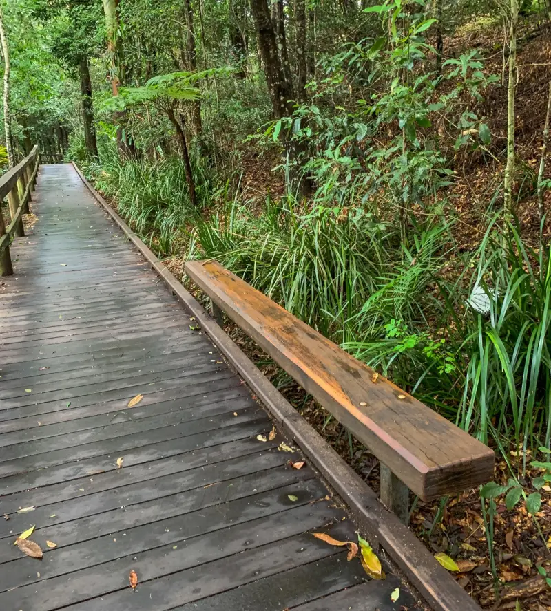 Maleny Boardwalk: Platypus Walk
