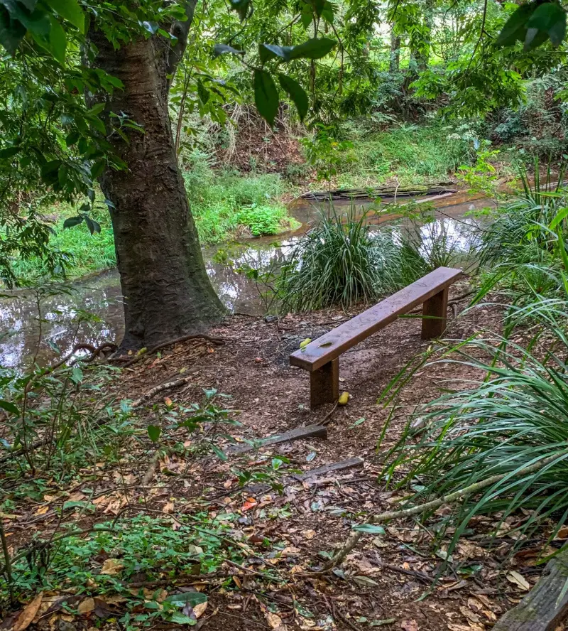 Maleny Boardwalk: Platypus Walk