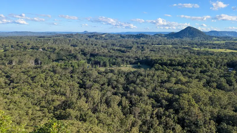 Tewantin National Park: Mount Tinbeerwah