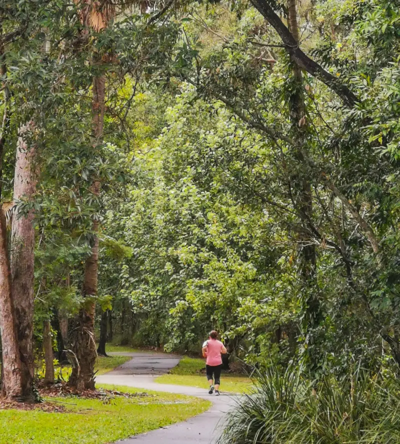 Buderim Walks: Mountain Creek Circuit
