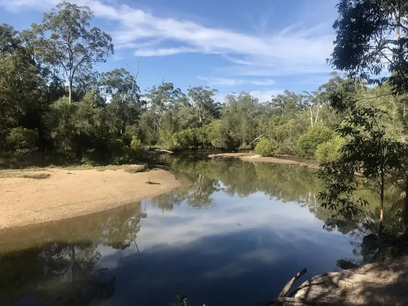 Buderim Walks: Mountain Creek Circuit