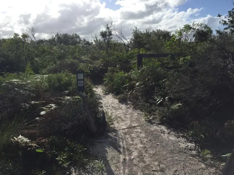 Currimundi Lake (Kathleen McArthur) Conservation Park