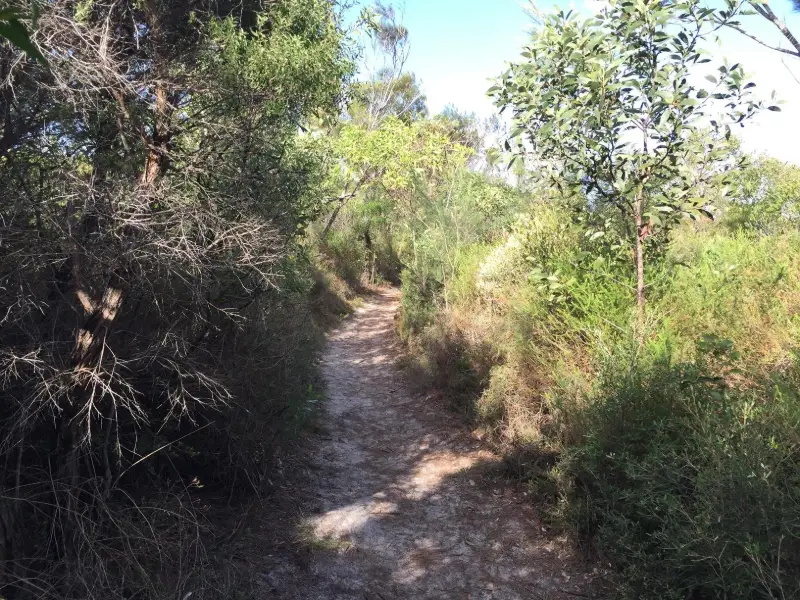 Currimundi Lake (Kathleen McArthur) Conservation Park