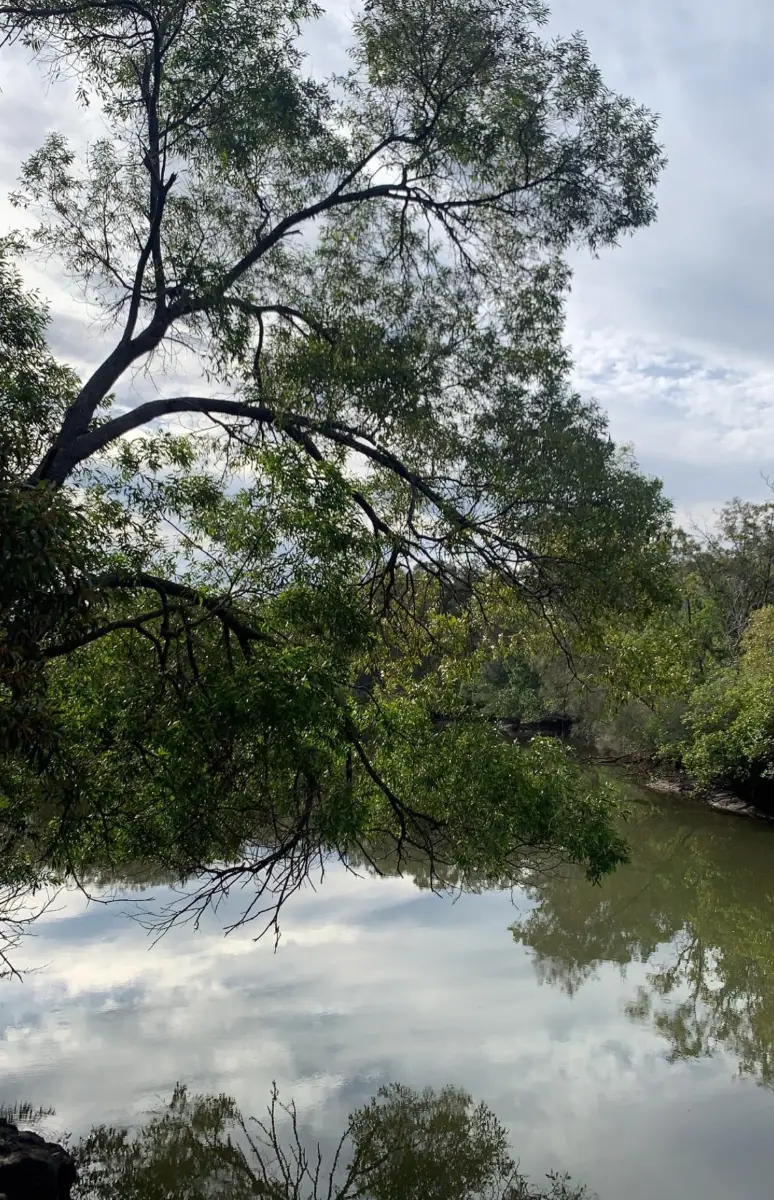 TEMPORARY CLOSURE - Kawana Forest: River Trail