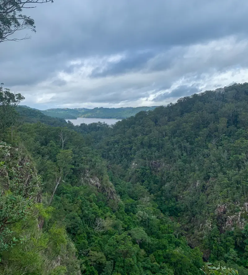 Sunshine Coast Hinterland Great Walk: Baroon Section