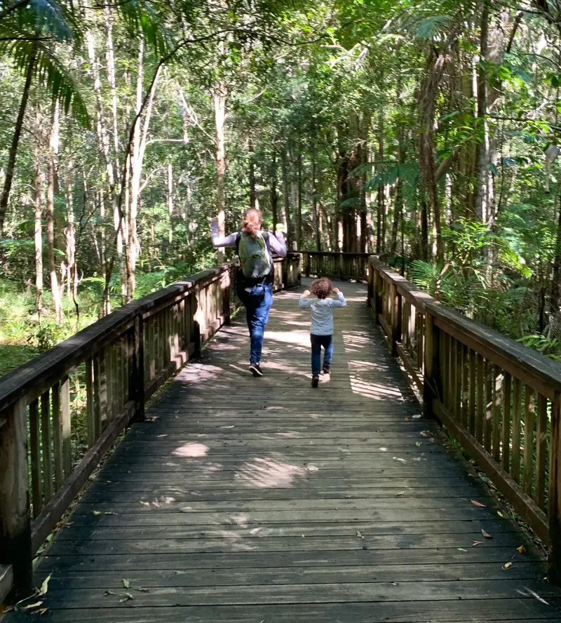 Buderim Forest Park: River Walk