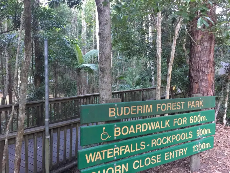 Buderim Forest Park: River Walk