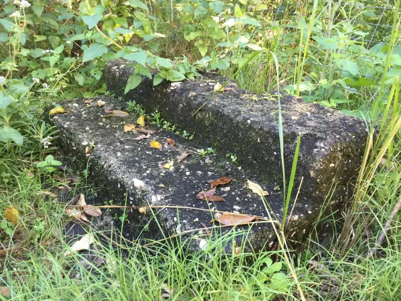 Mill Point, Elanda Point Walk