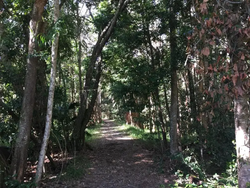 Mill Point, Elanda Point Walk
