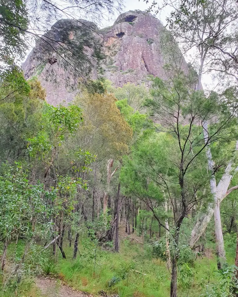 Glass House Mountains National Park: Tibrogargan Circuit
