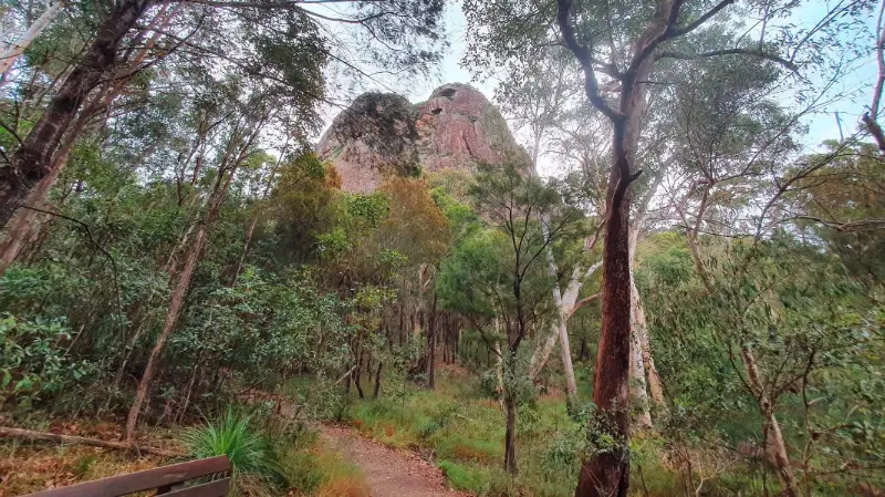 Glass House Mountains National Park: Tibrogargan Circuit