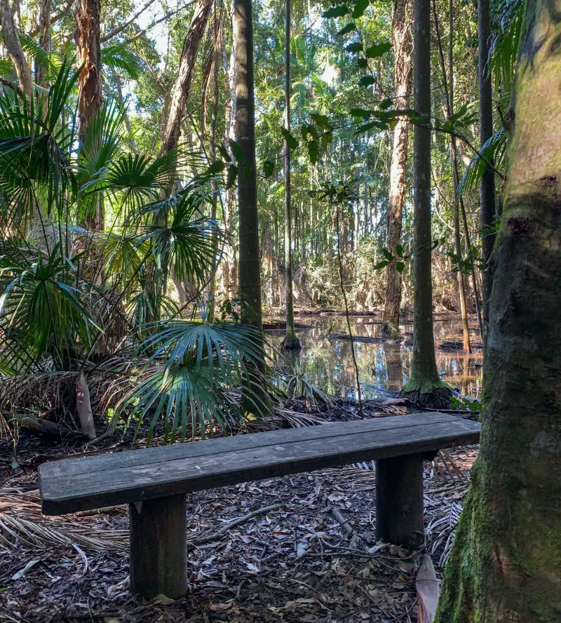 Mooloolah River National Park: Mooloolah River Circuit