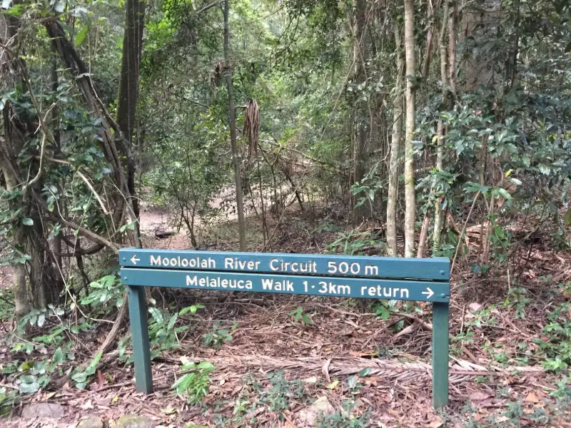 Mooloolah River National Park: Mooloolah River Circuit